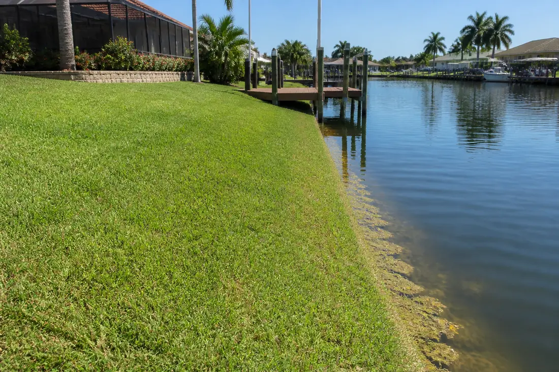 A sodded alternative seawall slope running down to the water on a freshwater canal