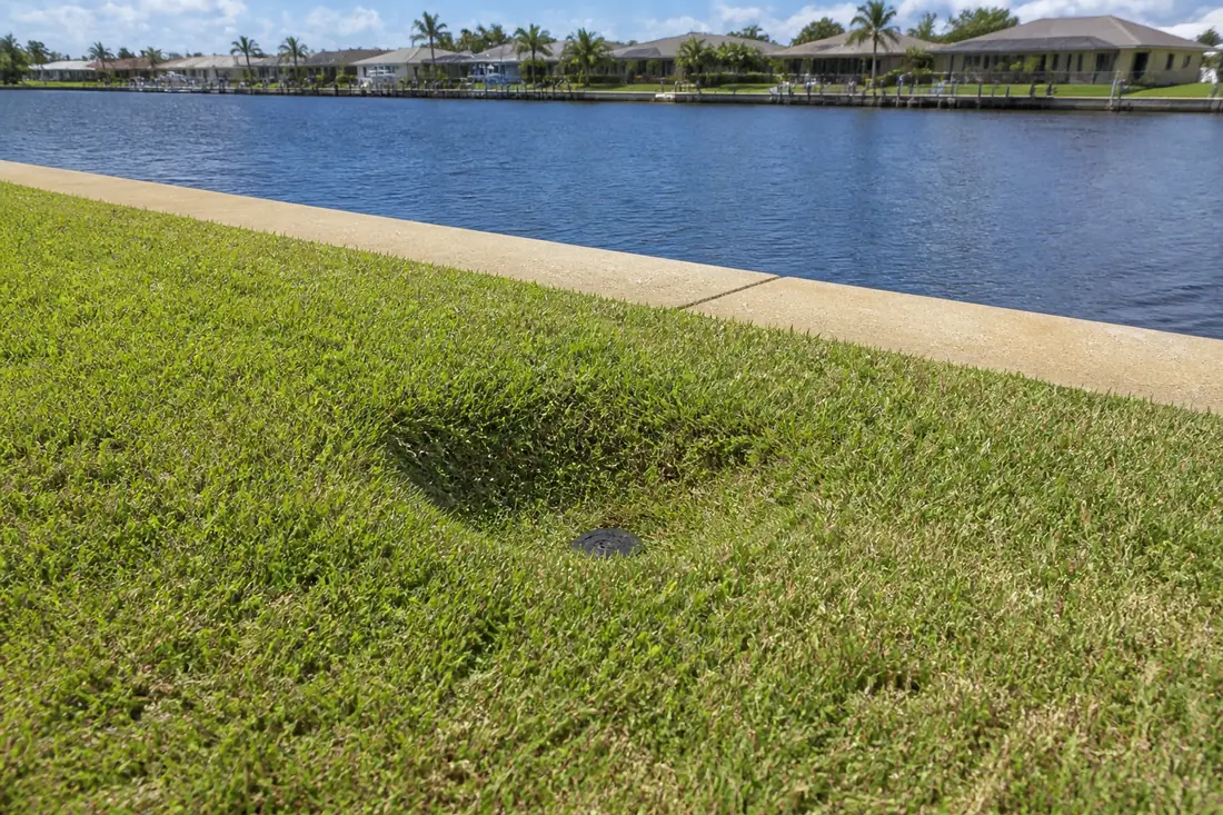 A shallow depression in a lawn a few feet back from a concrete seawall cap
