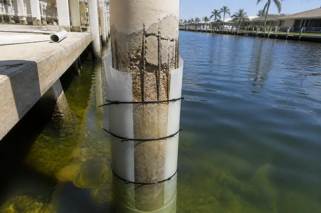 Piling Repair and Replacement project